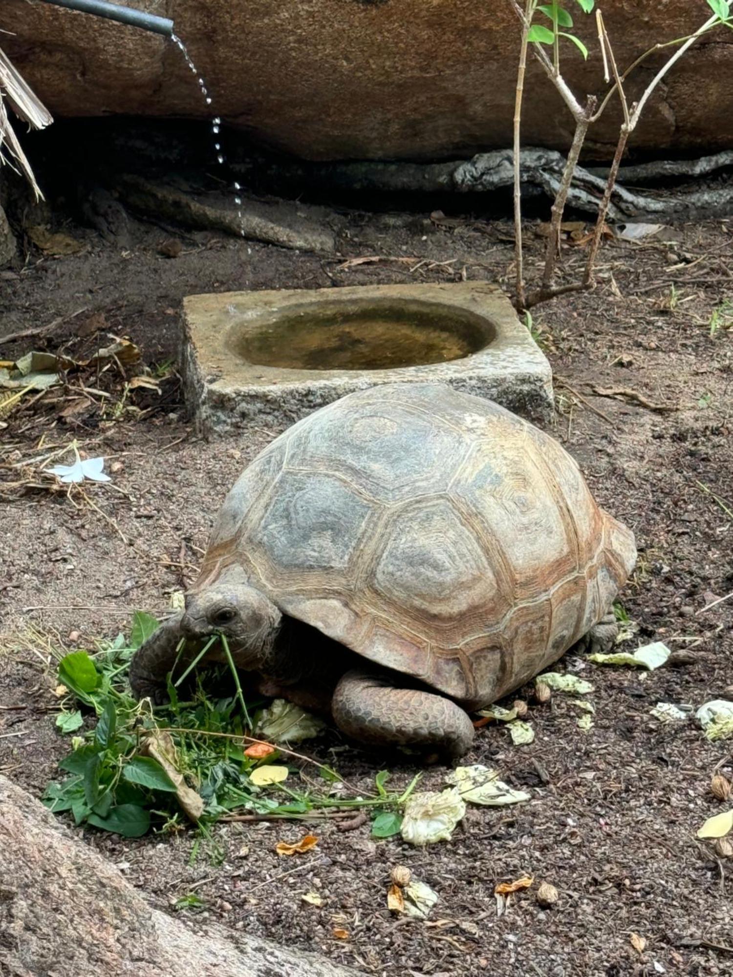 Jardin Marron Daire Baie Sainte Anne Dış mekan fotoğraf