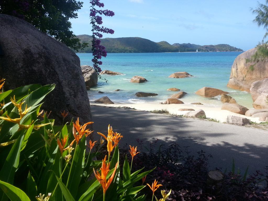Jardin Marron Daire Baie Sainte Anne Dış mekan fotoğraf