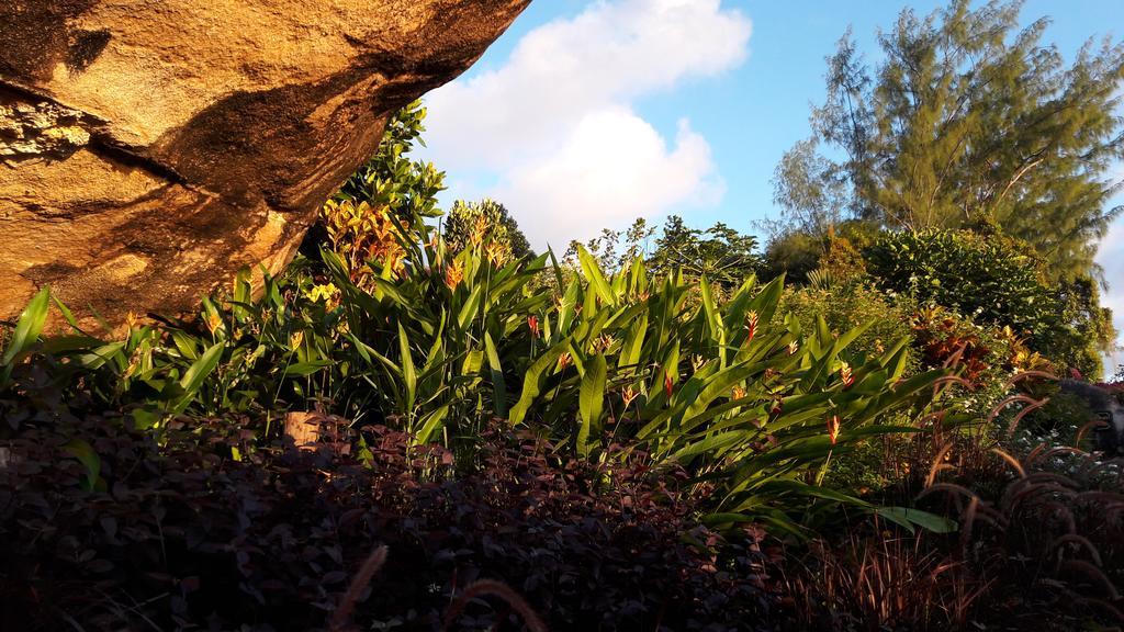 Jardin Marron Daire Baie Sainte Anne Dış mekan fotoğraf