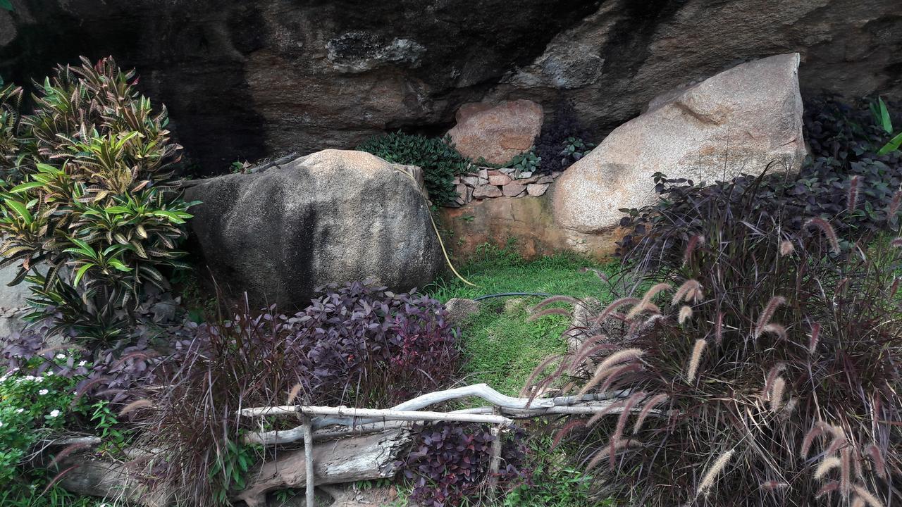Jardin Marron Daire Baie Sainte Anne Dış mekan fotoğraf