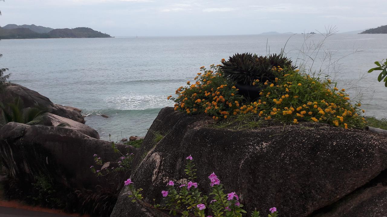 Jardin Marron Daire Baie Sainte Anne Dış mekan fotoğraf